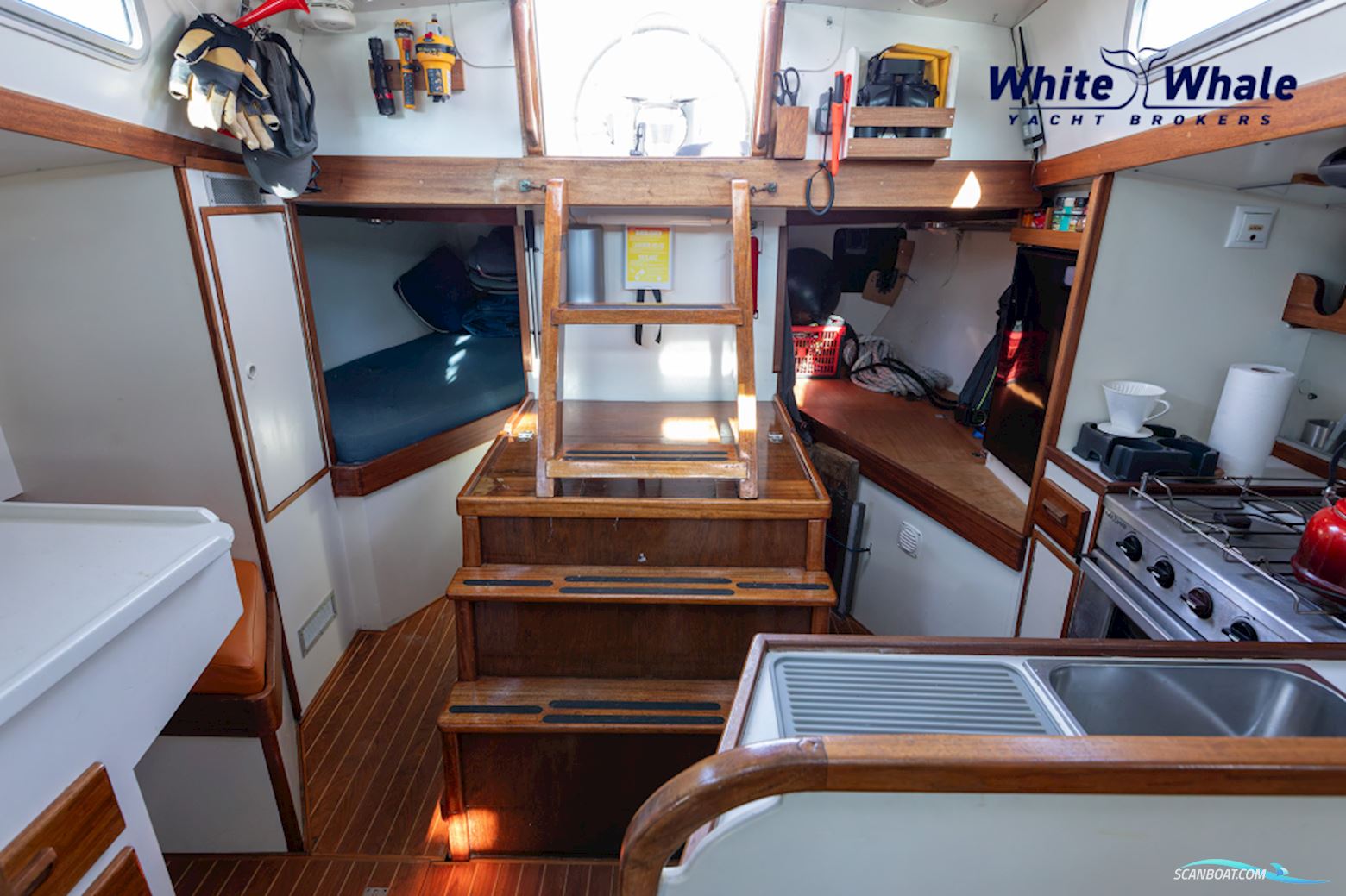 Carena 36