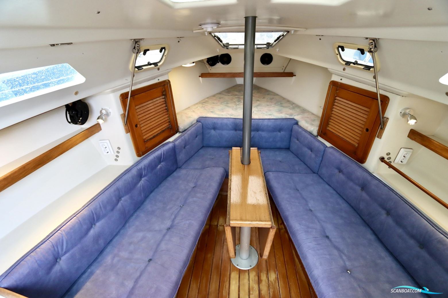 Catalina  270