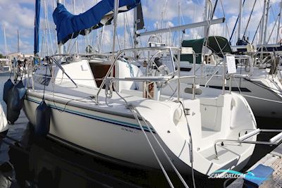 Catalina 270 Segelbåt 1994, Holland