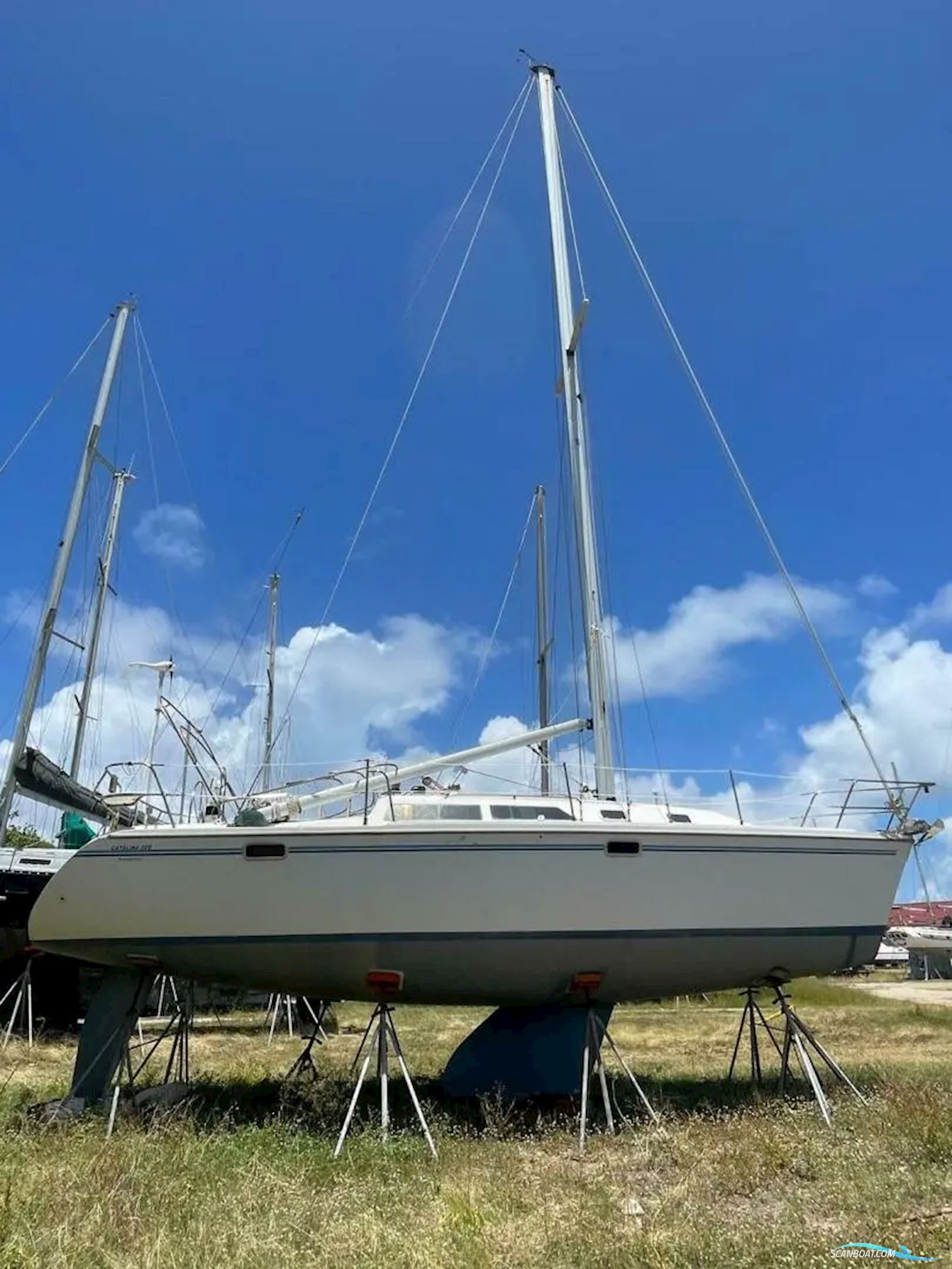 Catalina 320