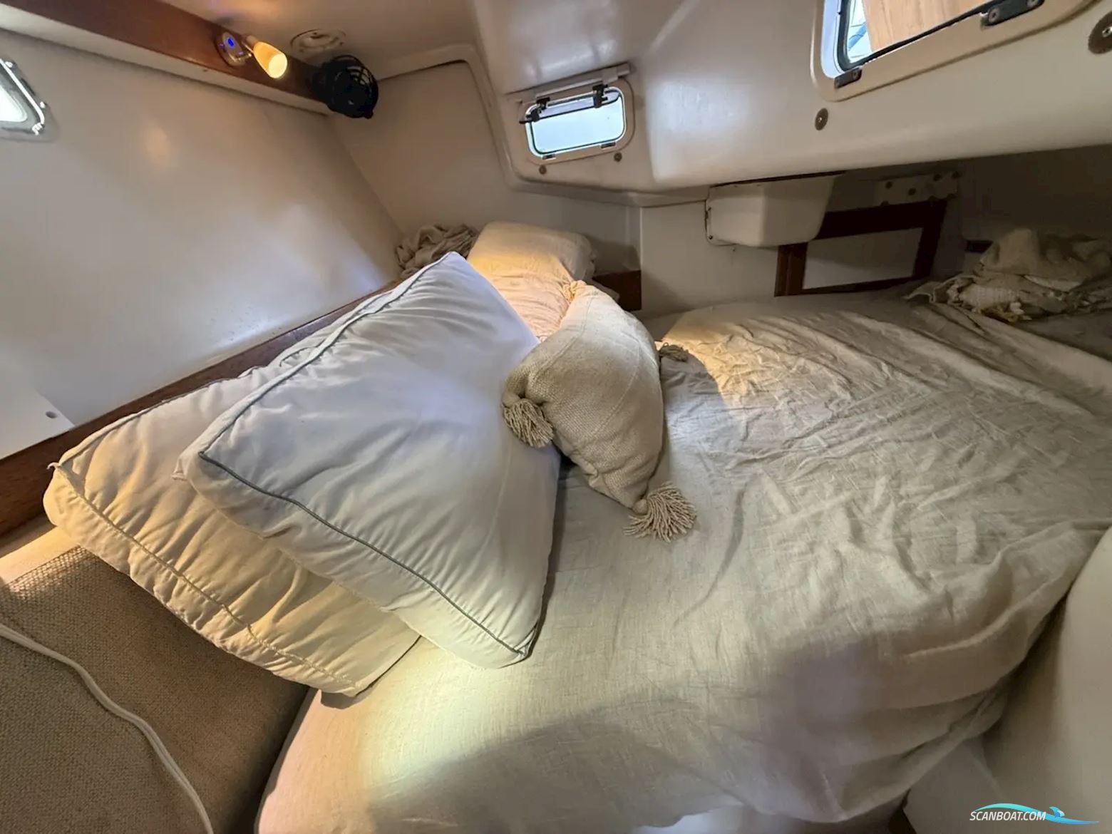 Catalina 320
