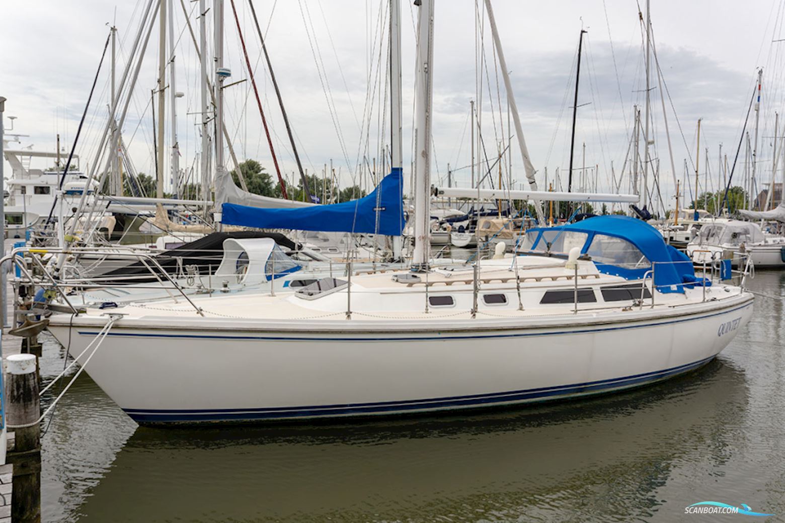 Catalina 36 Segelbåt 1990, med Universal motor, Holland