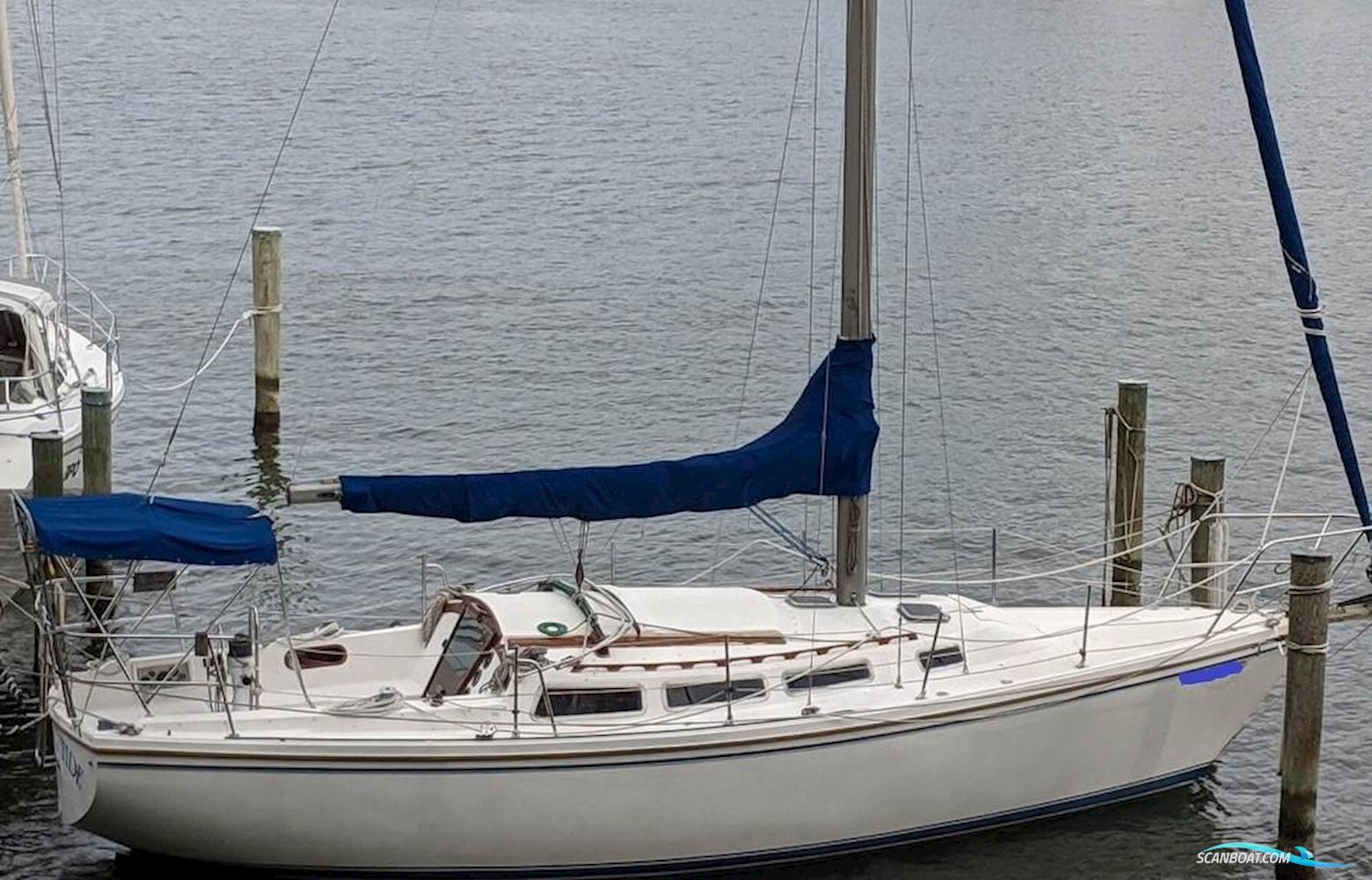 Catalina 36 Segelbåt 1988, med Yanmar 3GM30 motor, Danmark
