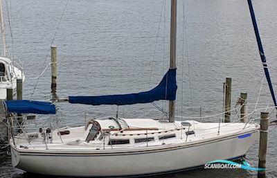 Catalina 36 Segelbåt 1988, med Yanmar 3GM30 motor, Danmark