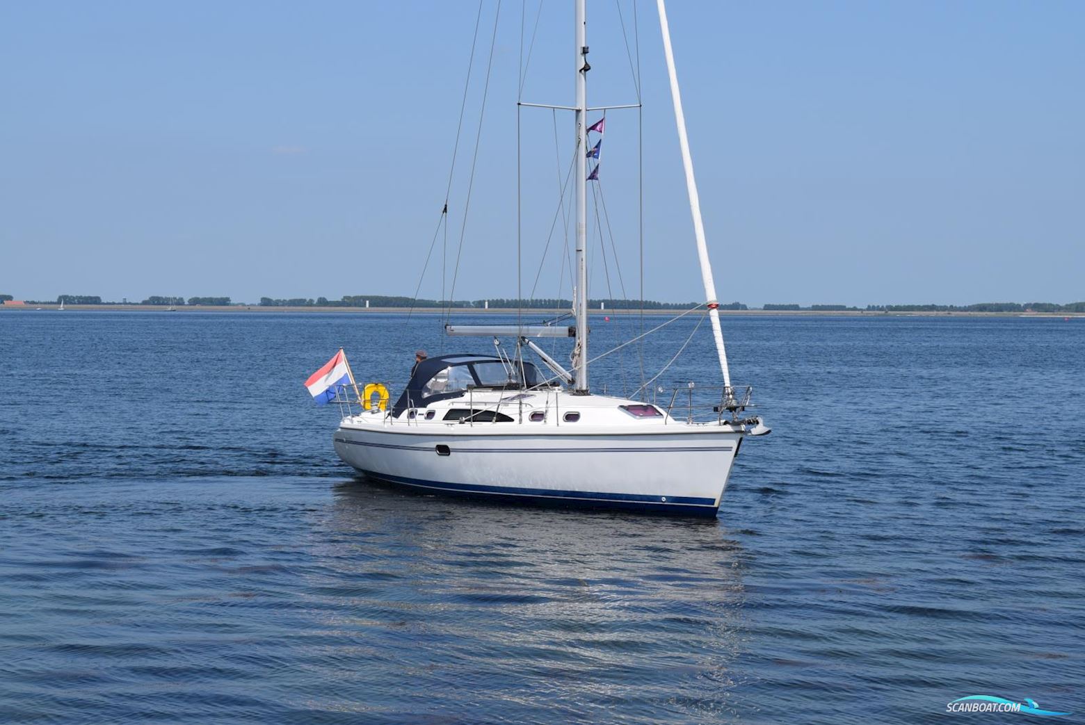 Catalina 375