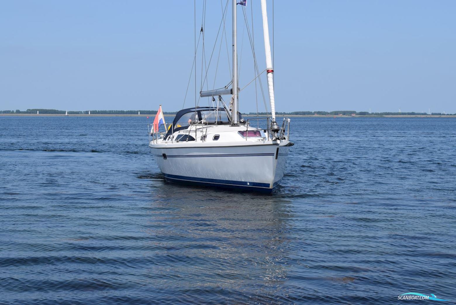 Catalina 375