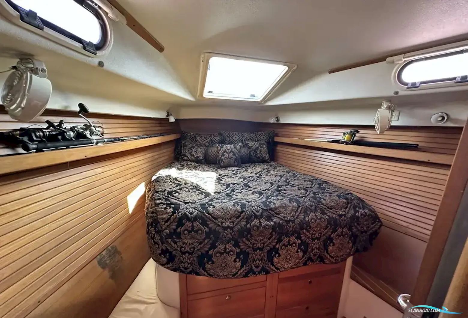 Catalina Morgan 440 DS