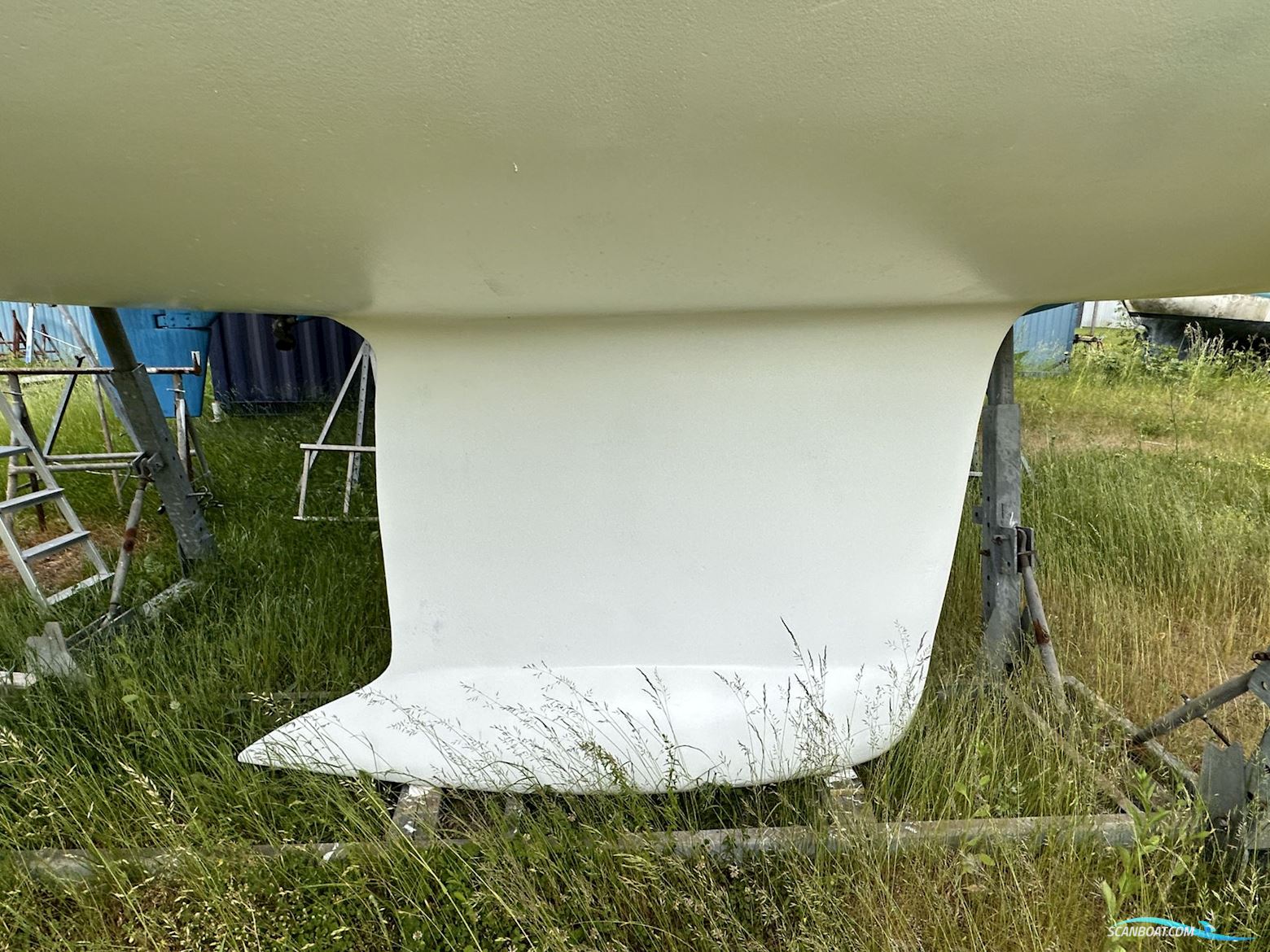 Celeste 36