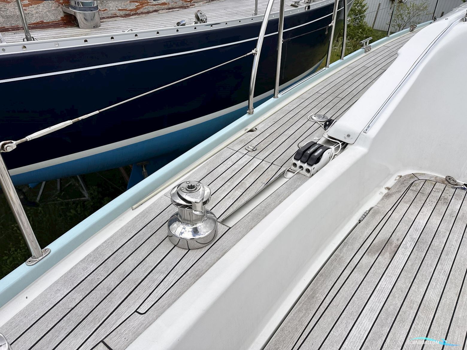 Celeste 36