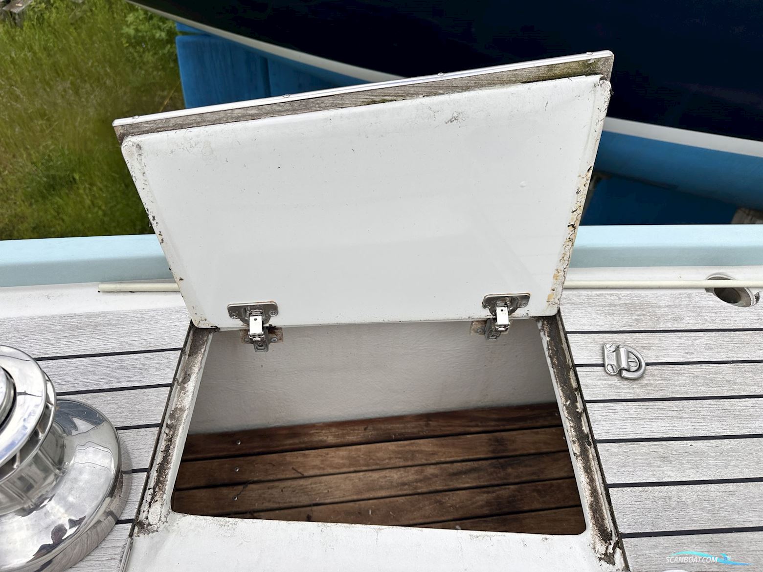 Celeste 36