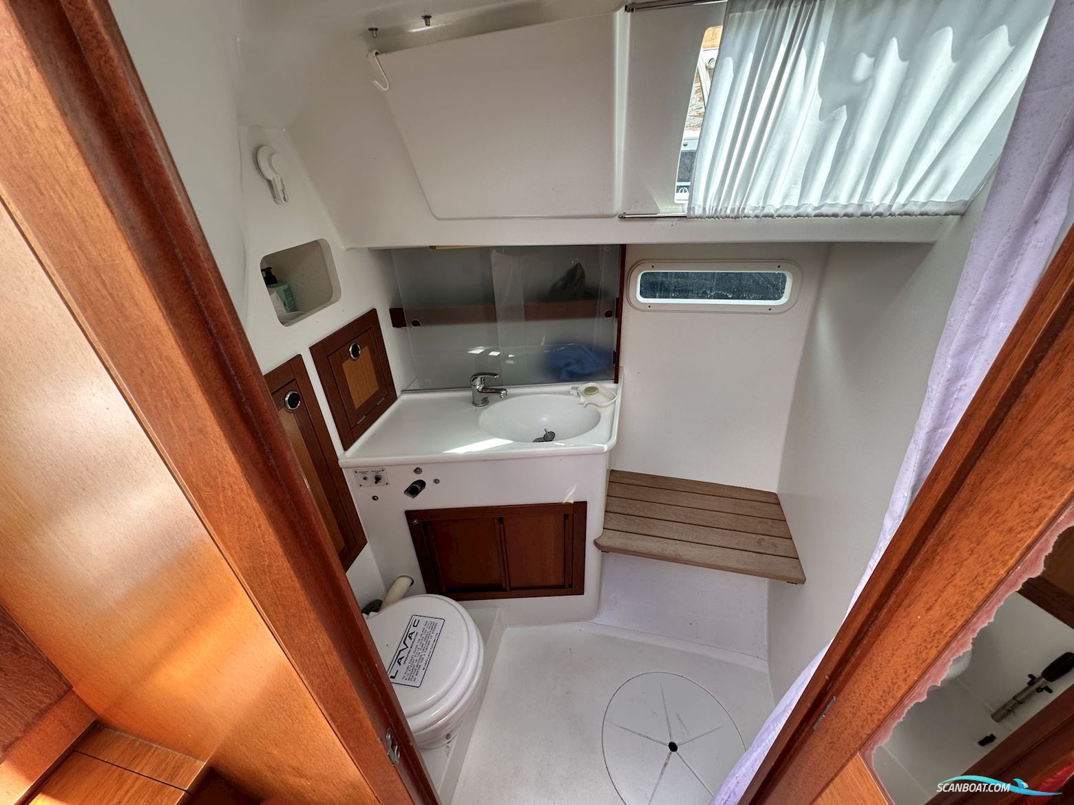 Celeste 36