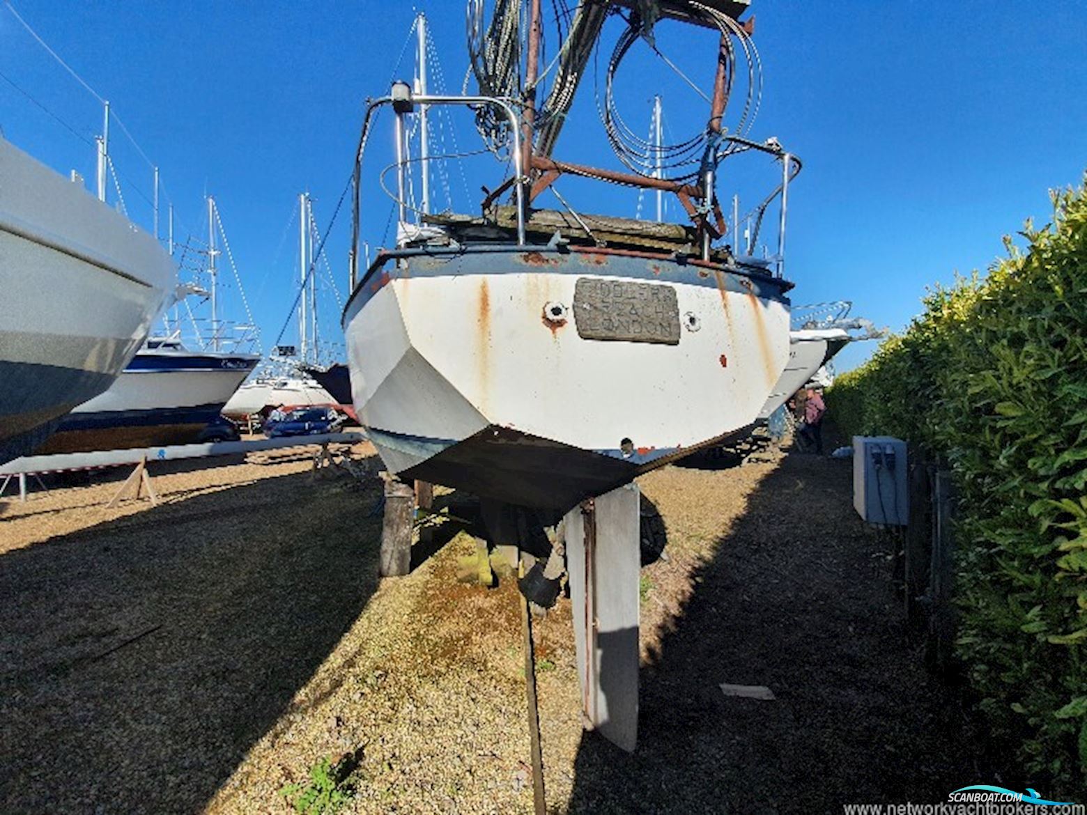 Classic Yacht Classic Kliever 11