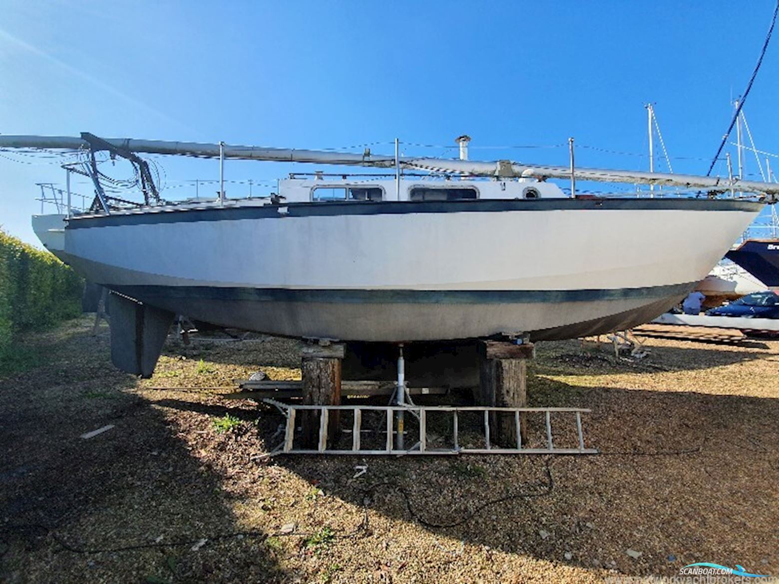 Classic Yacht Classic Kliever 11