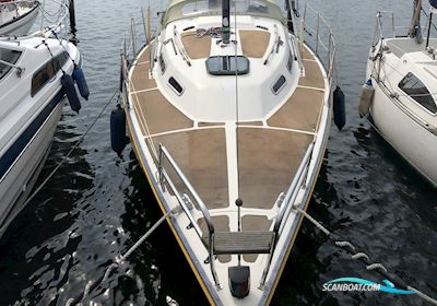 Colina 29 Segelbåt 1982, med Yanmar motor, Danmark