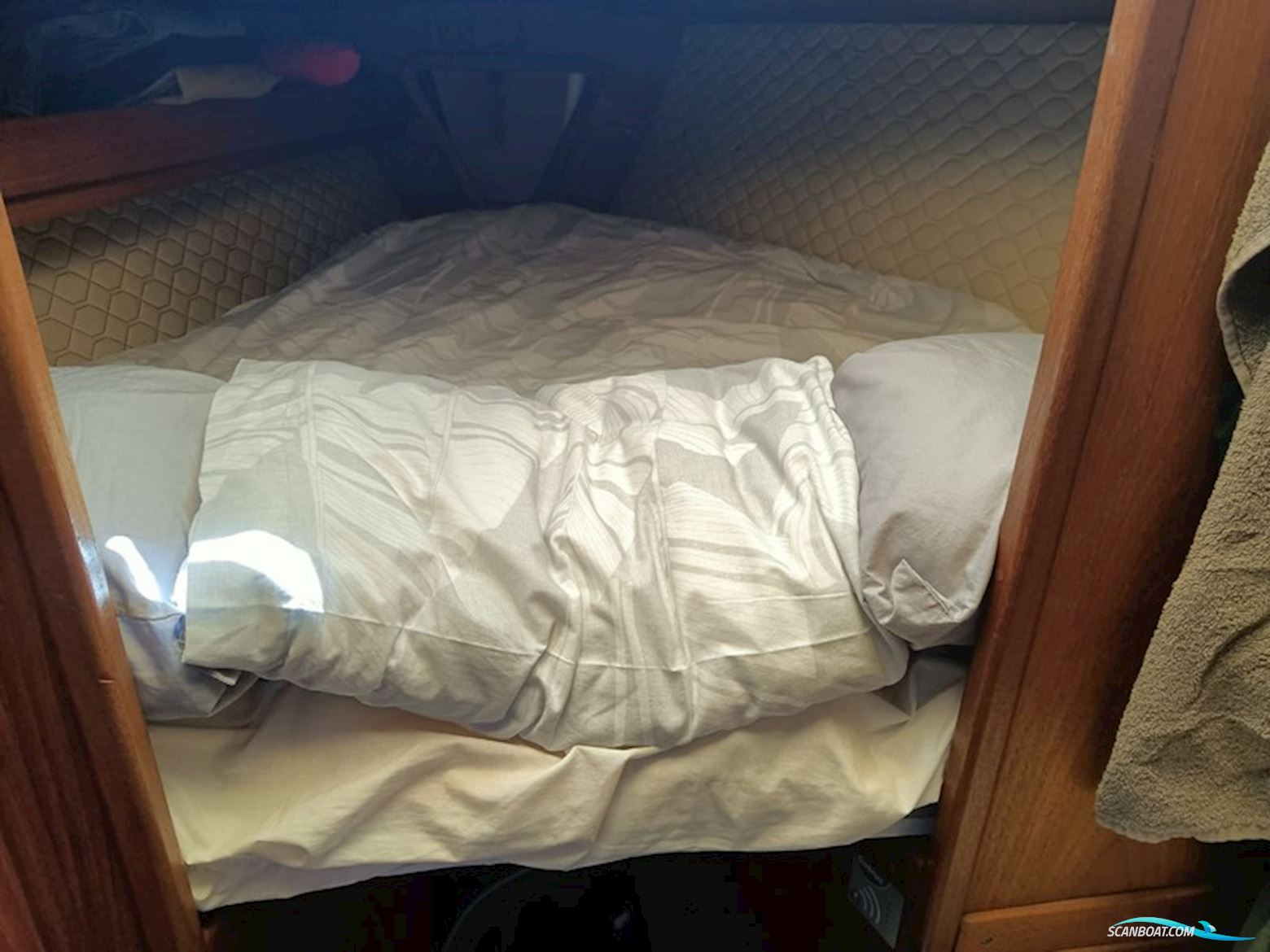 Comfort 30