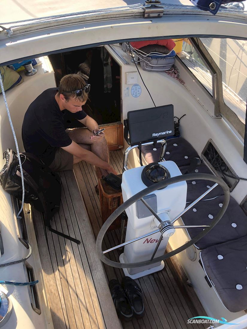 Comfort 32 Commander