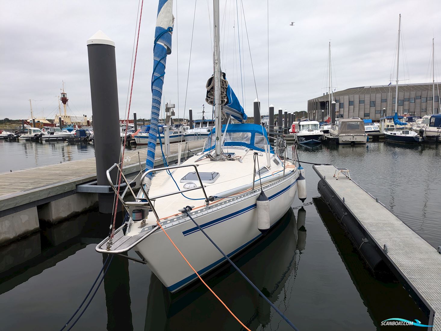 Comfortina 32 Segelbåt 1984, med Vestus motor, Danmark