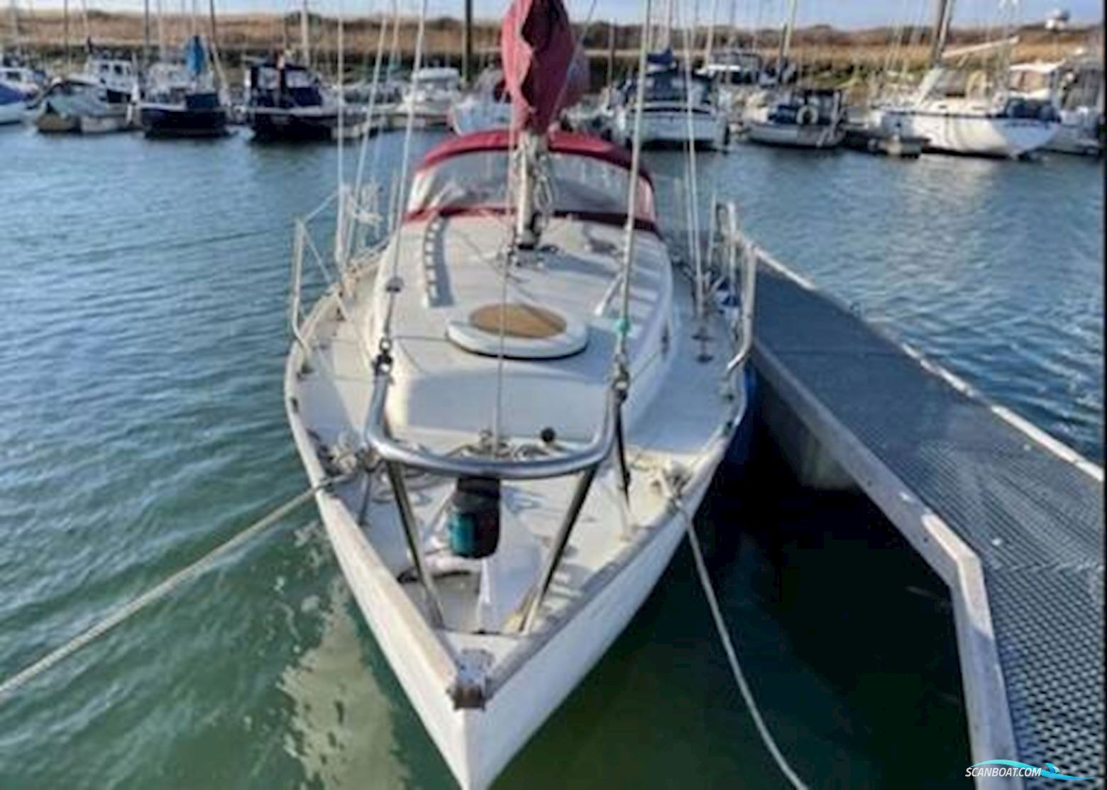 Contessa 26