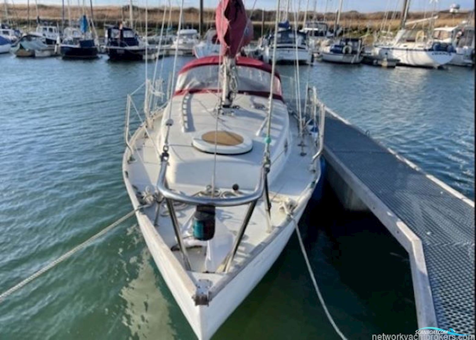 Contessa 26
