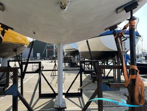 Contessa 34 OOD