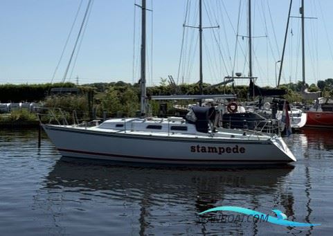 Contessa 34 OOD