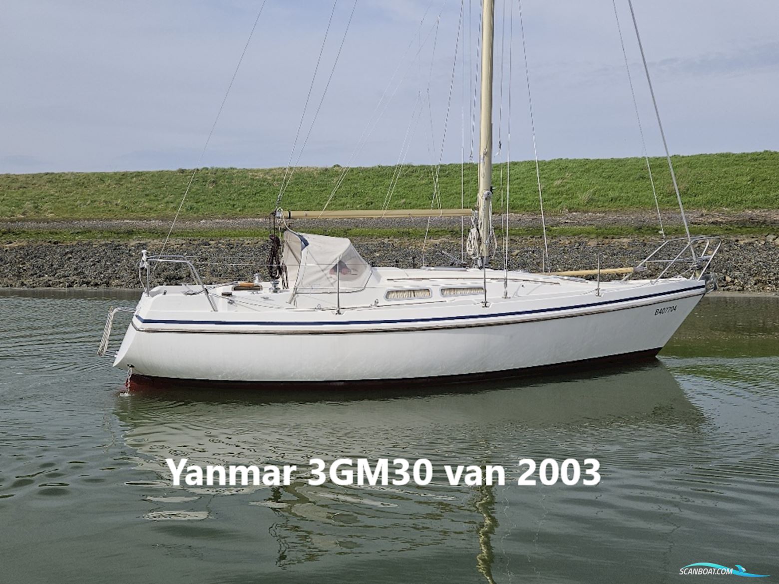 Contest 30 Segelbåt 1977, Holland