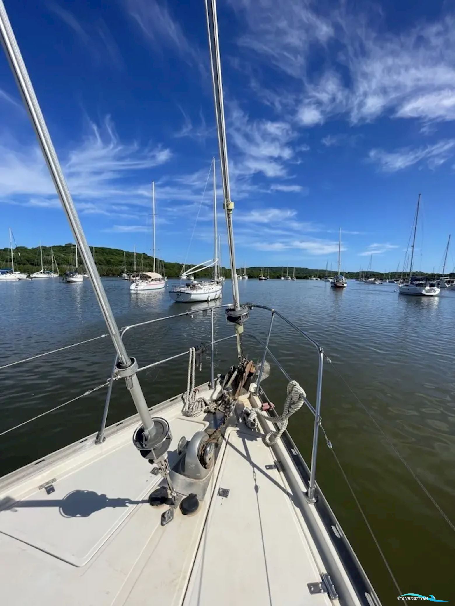 Corbin 39