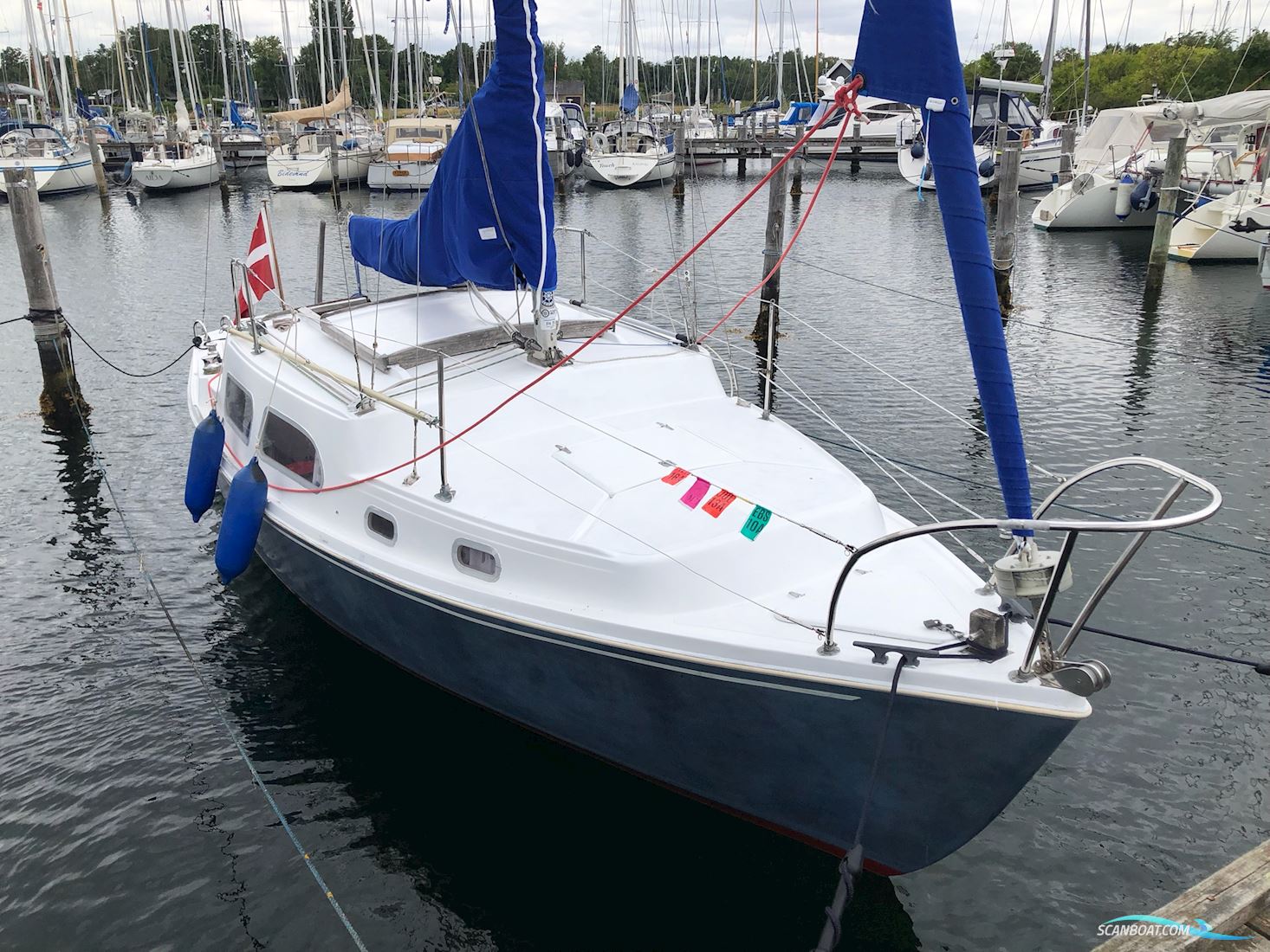 Coronado 25