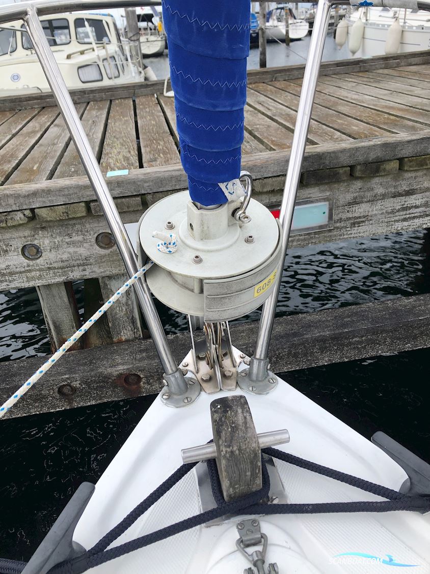 Coronado 25