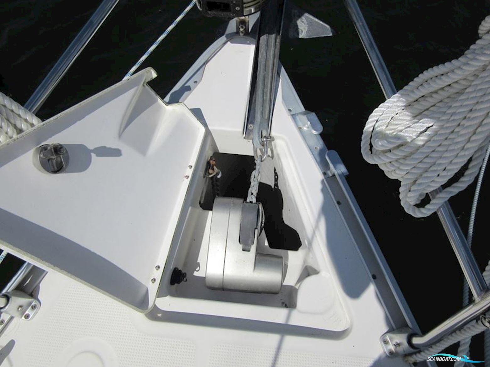 Cruiser 36