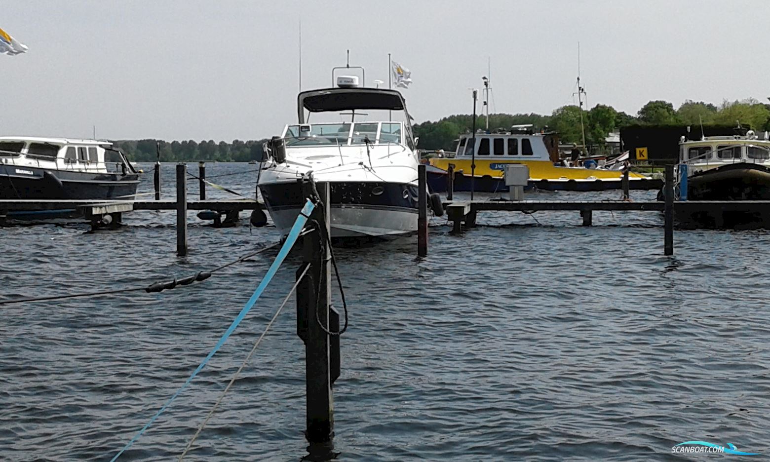 Cruisers Yachts 300 Cxi Express