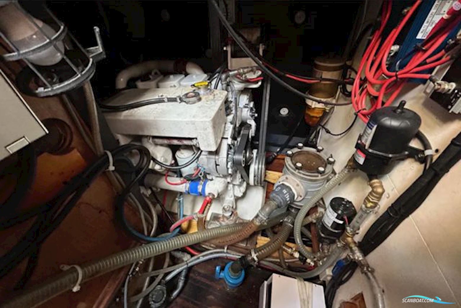 Custom Bouvet/Petit Bouvet Petit 57