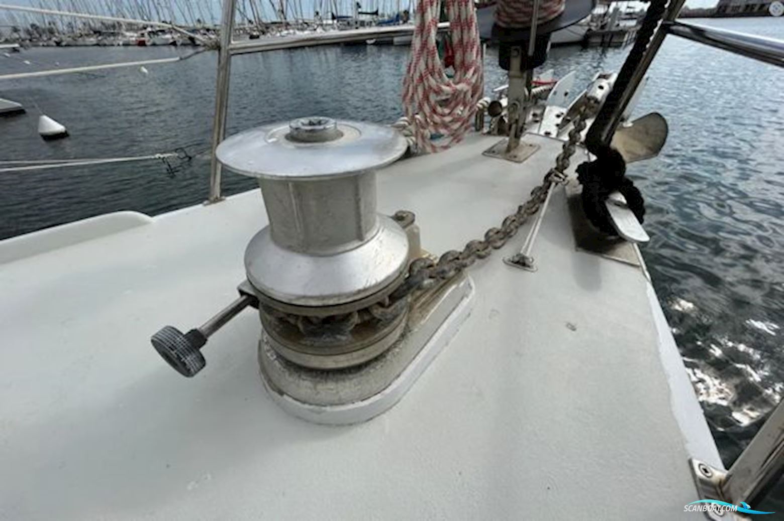 Custom Bouvet/Petit Bouvet Petit 57