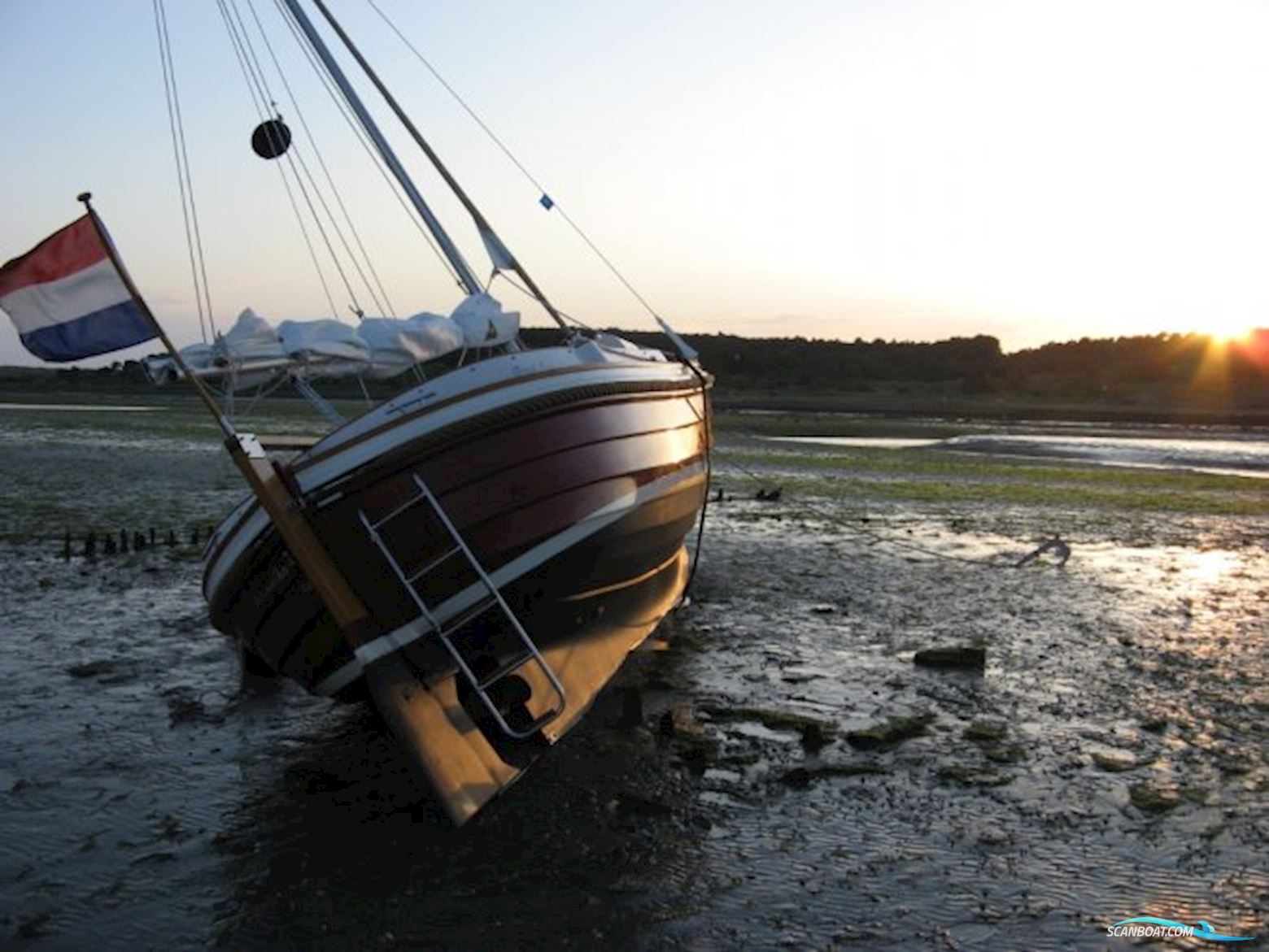 Damarin 21 Zeilsloep (Nieuw)