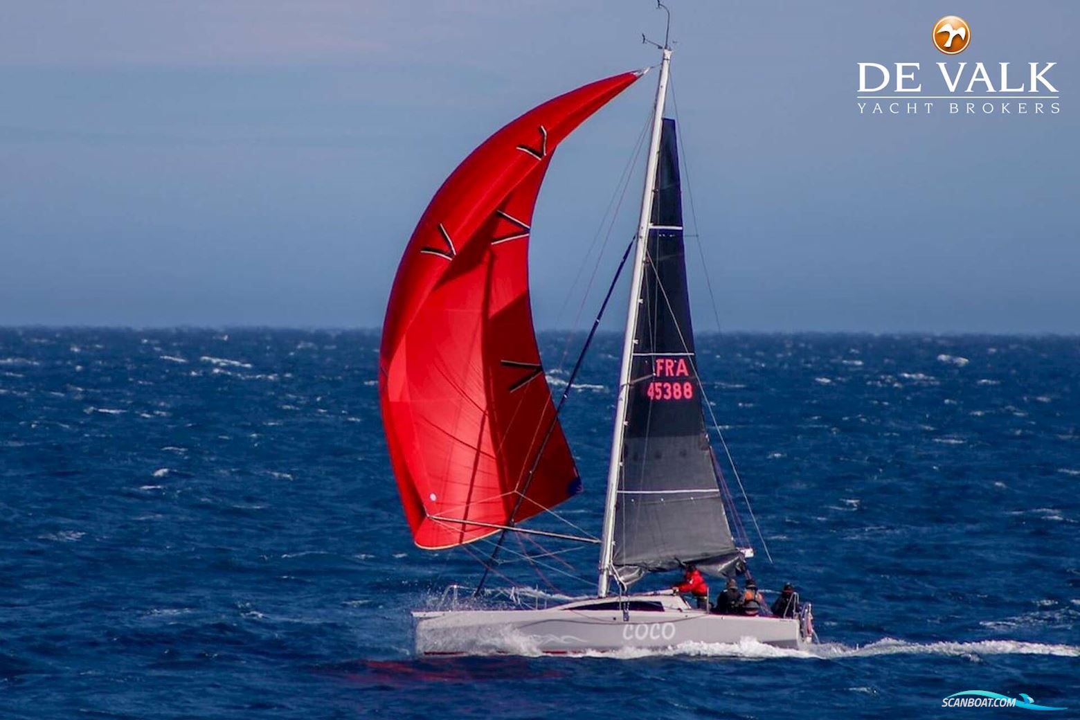 Dehler 30 OD