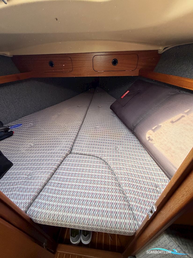 Dehler 31