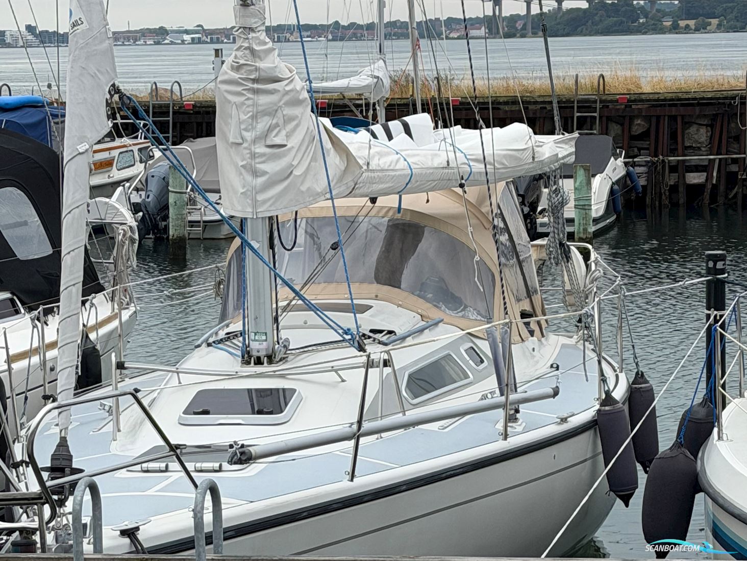 Dehler 34 Nova Top