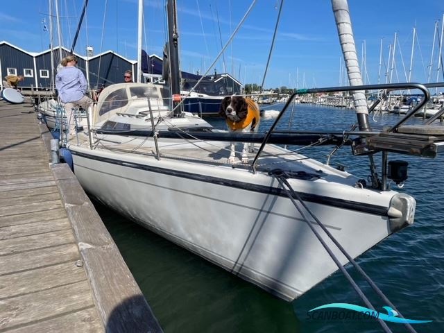 Dehler 34 Optima 101 Segelbåt 1986, med Yanmar 2gm20 motor, Danmark