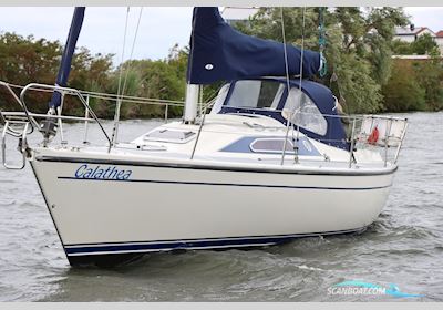Dehler 34 Optima 106 Segelbåt 1987, Holland