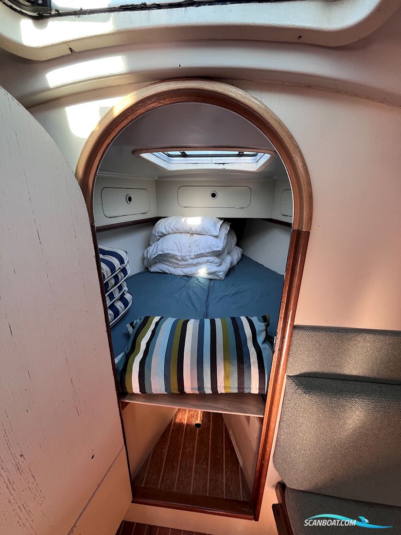 Dehler 34