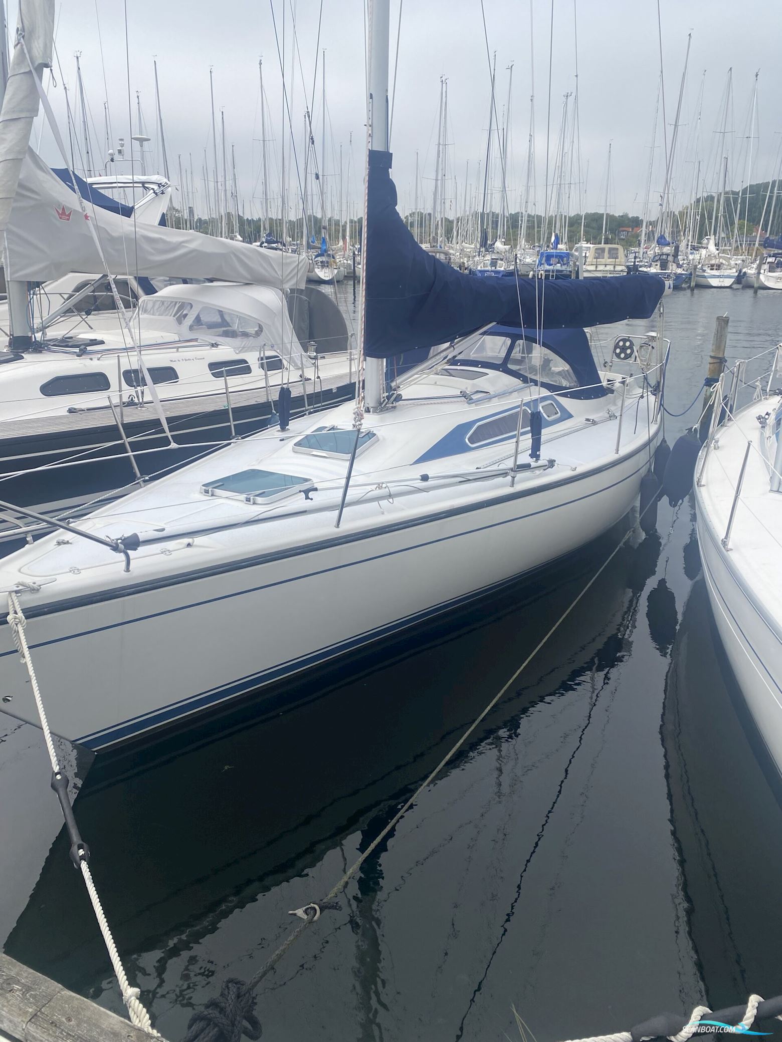 Dehler 343 med 1 ejer. Segelbåt 1987, med Yanmar motor, Danmark