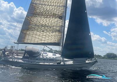 Dehler 36 Cws Segelbåt 1992, med Yanmar 3GM30 motor, Tyskland