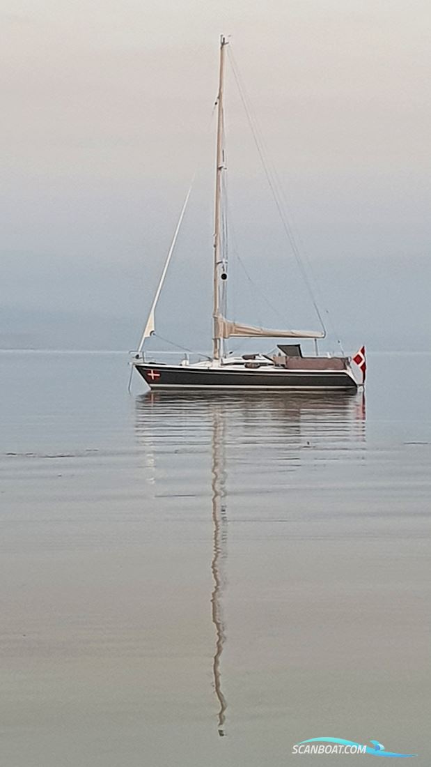 Dehler 36 Cws