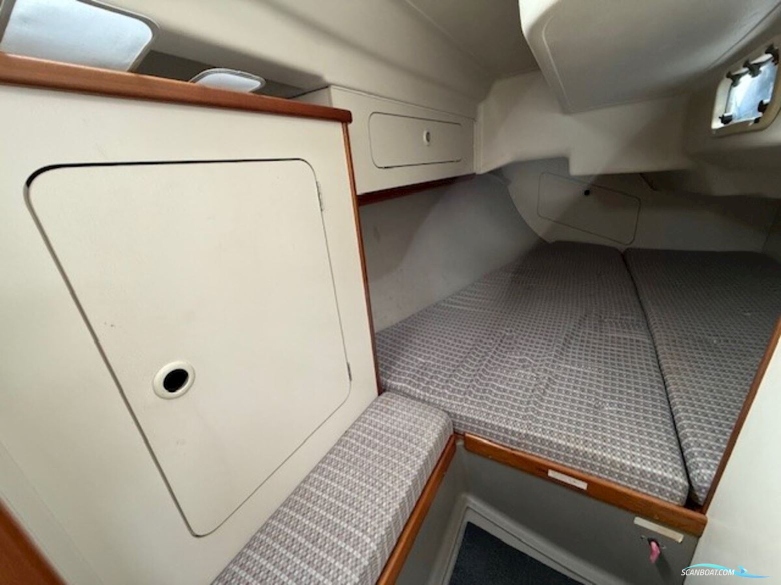 Dehler 36 Cws