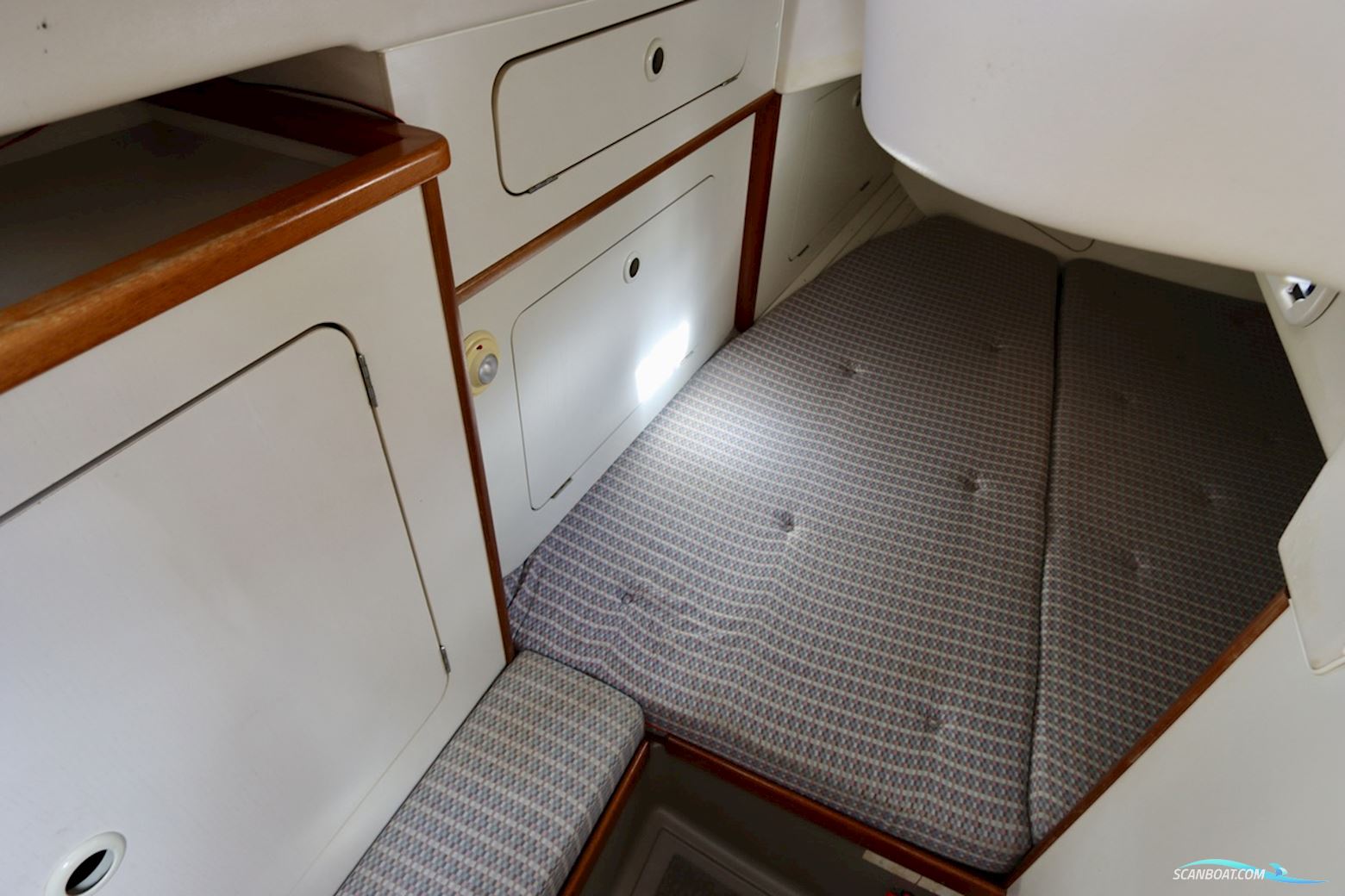 Dehler 36 CWS topline