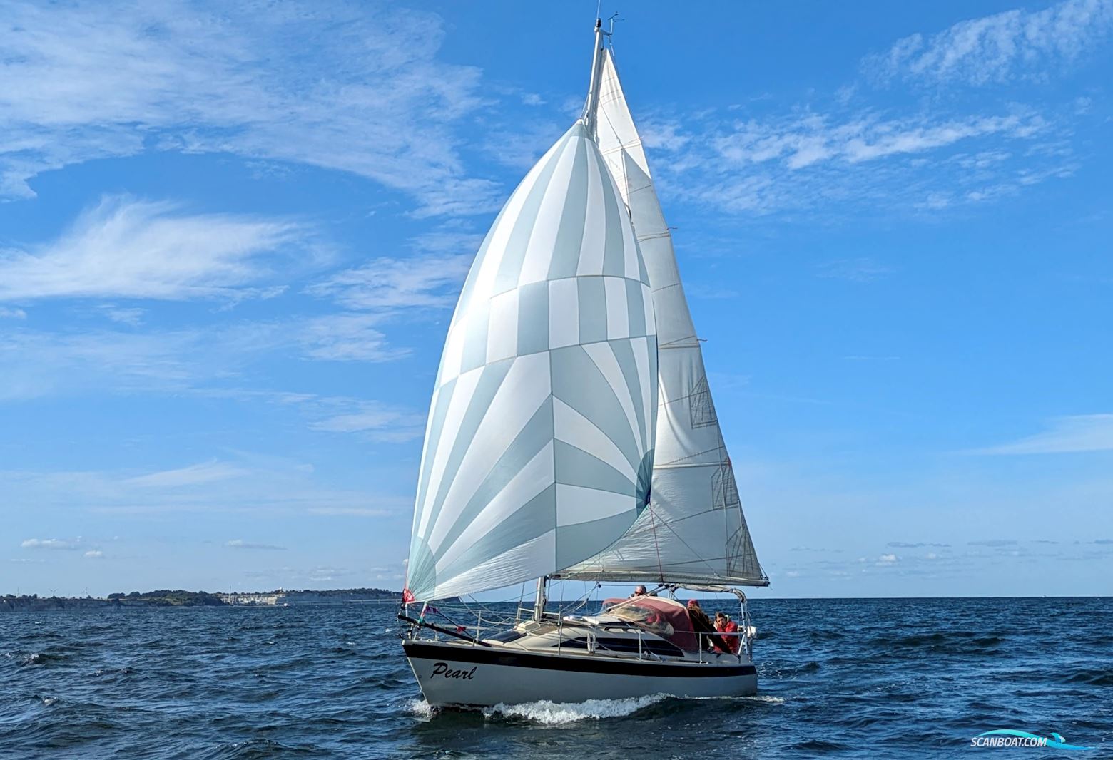 Dehlya 25