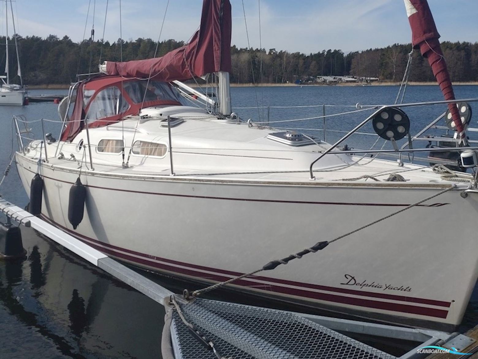 Delphia 29