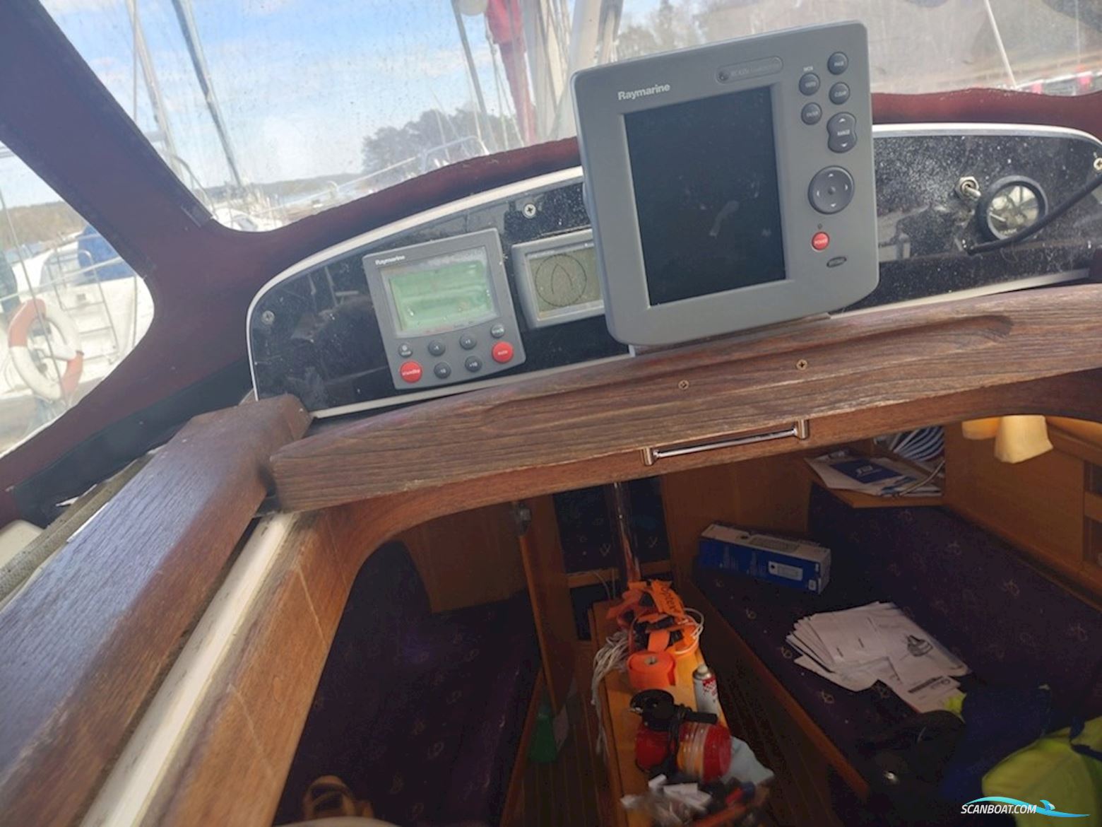Delphia 29