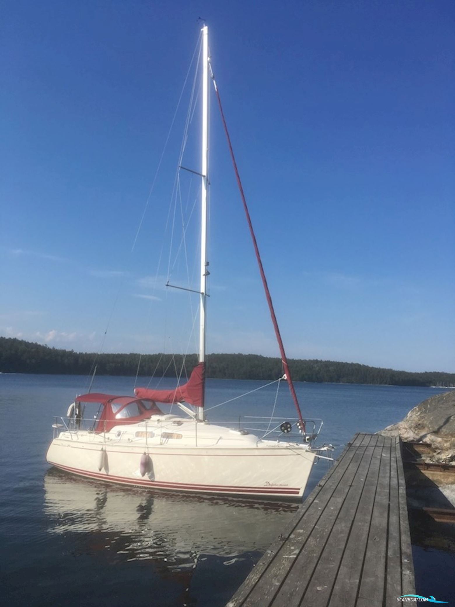 Delphia 29
