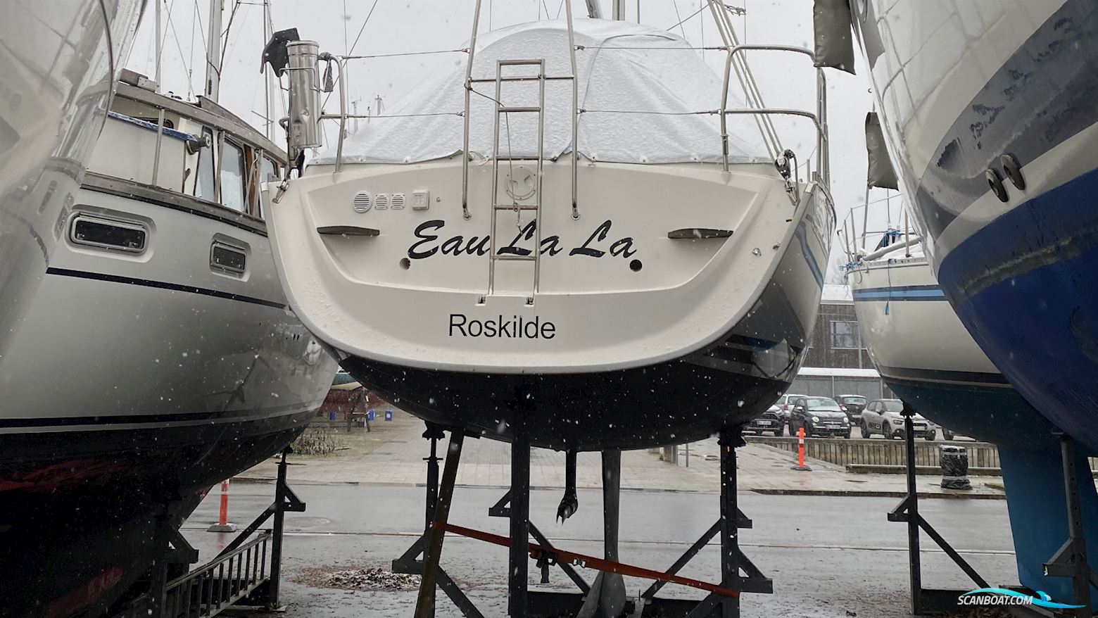 Delphia 33